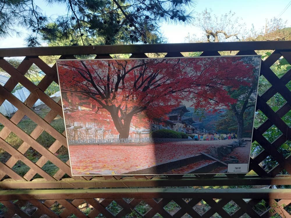 Namsan Mountain景点图片