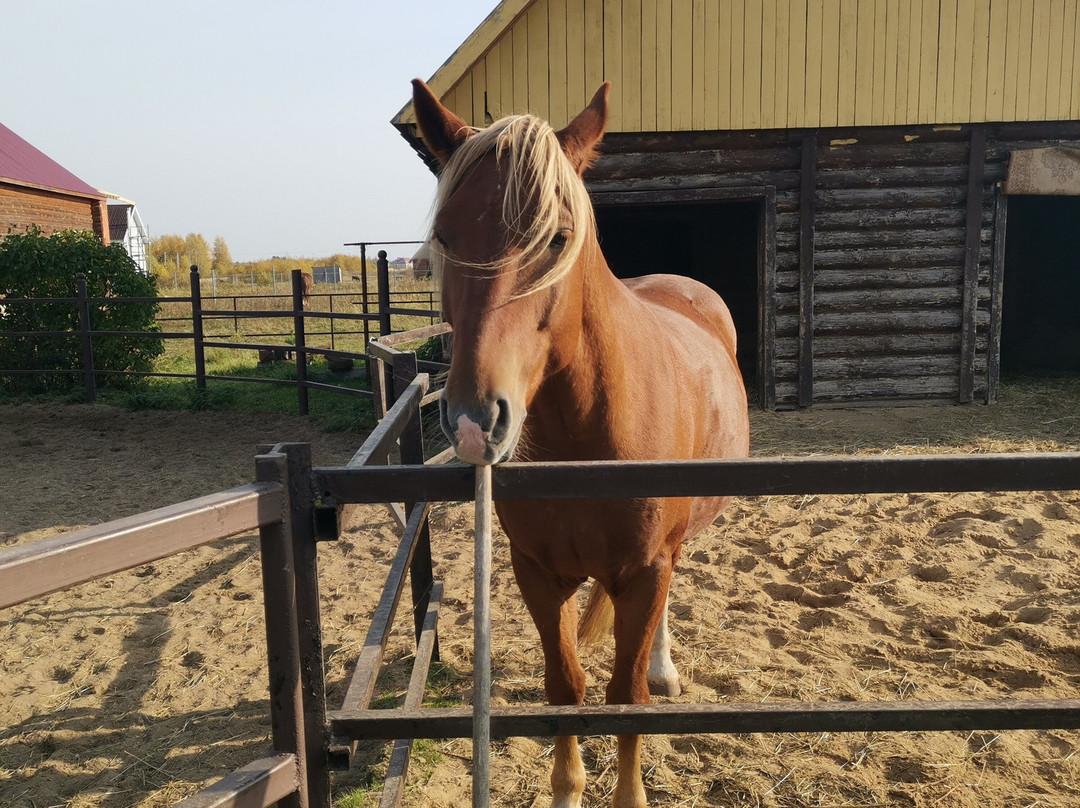 Konniy Dvor Guest House主图