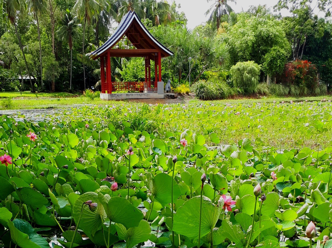 Cairns Botanical Gardens-凯恩斯地区必去景点