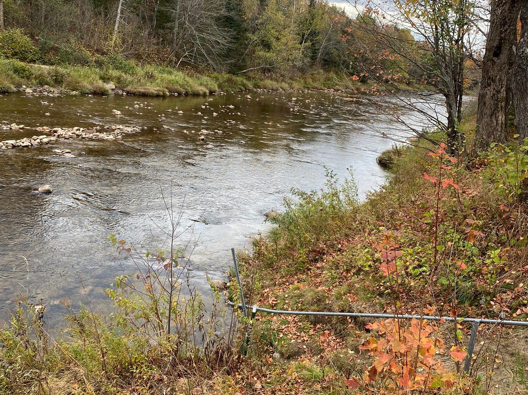 Along The River Campground And Cabins主图
