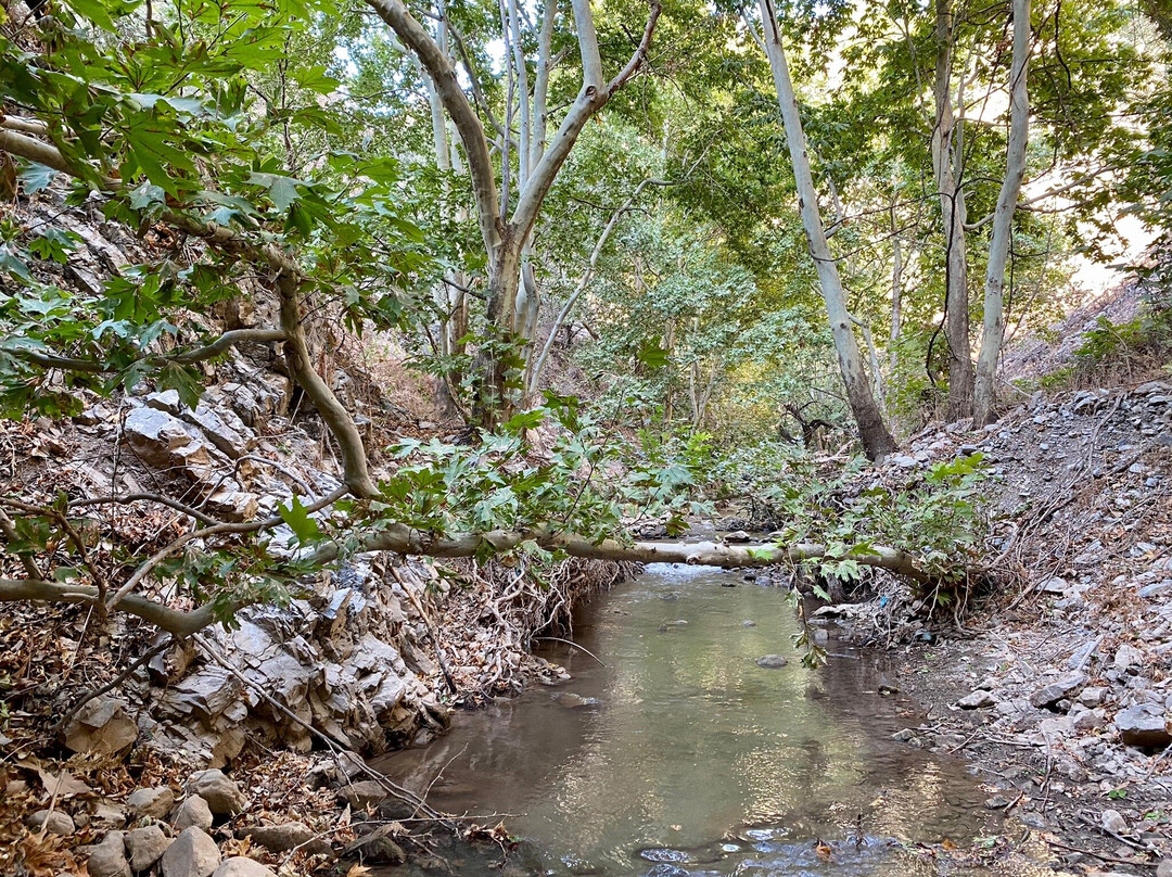 Hawar Village-苏莱曼尼亚必去景点