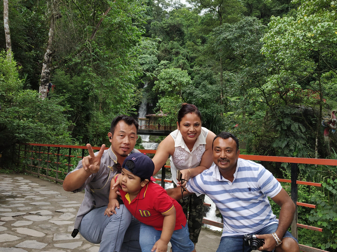 Assamica Tours and Travels景点图片