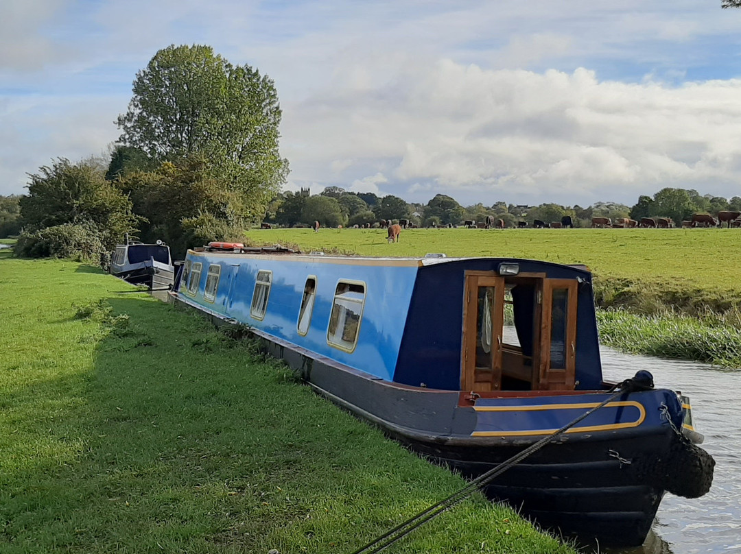 Oxfordshire Narrowboats景点图片