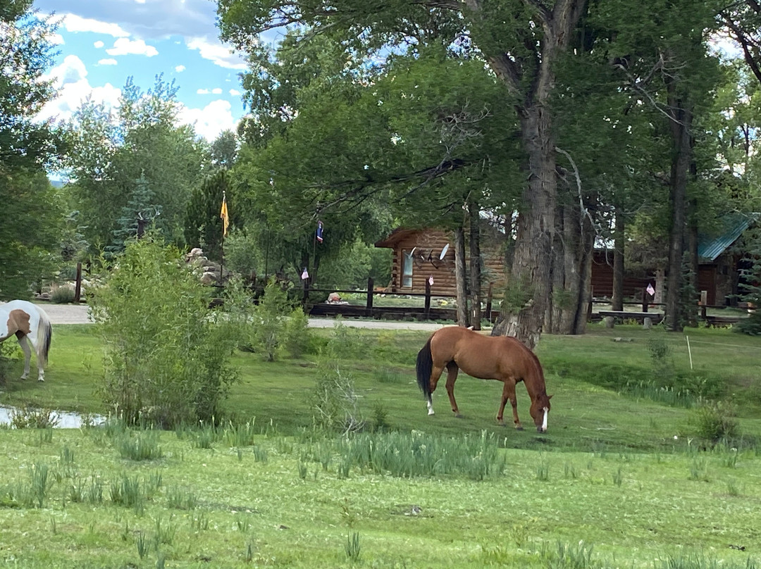 Spirit West River Lodge主图