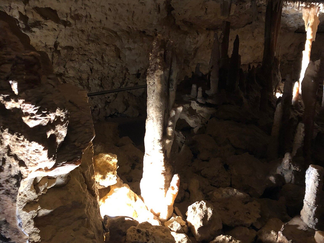Victoria Fossil Cave-Naracoorte必去景点