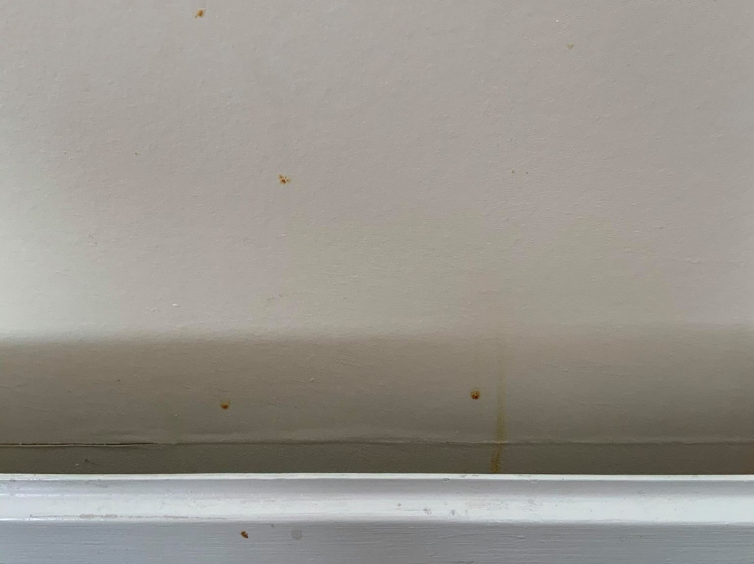 海米提吉公园酒店主图