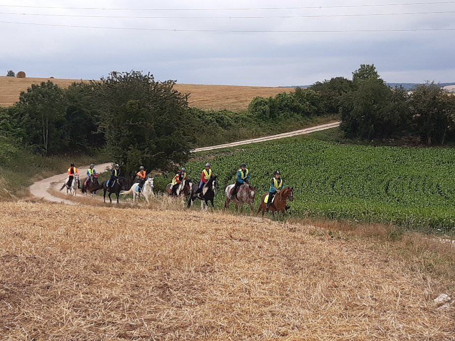 Ecuries Du Railly-Rouvrois-sur-Othain必去景点