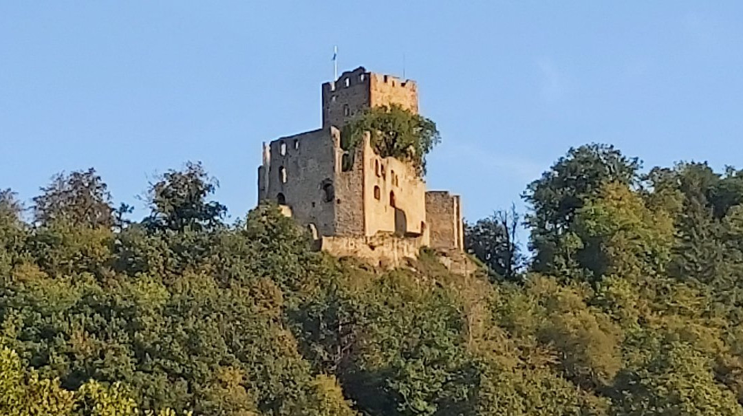 Restaurant Hotel Zum Storchen主图