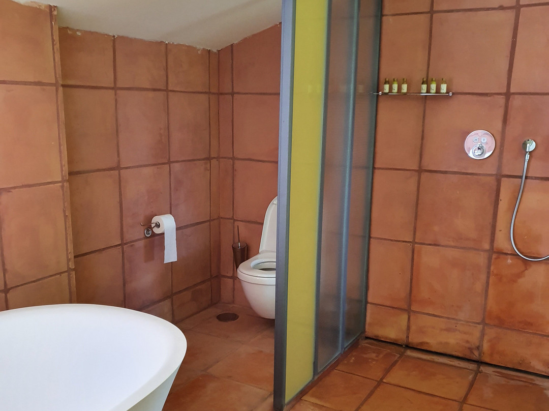 Cortijo LA Organic主图