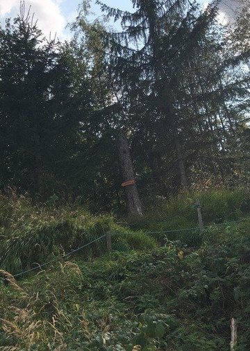 Adlerfelsen-Eibenstock必去景点