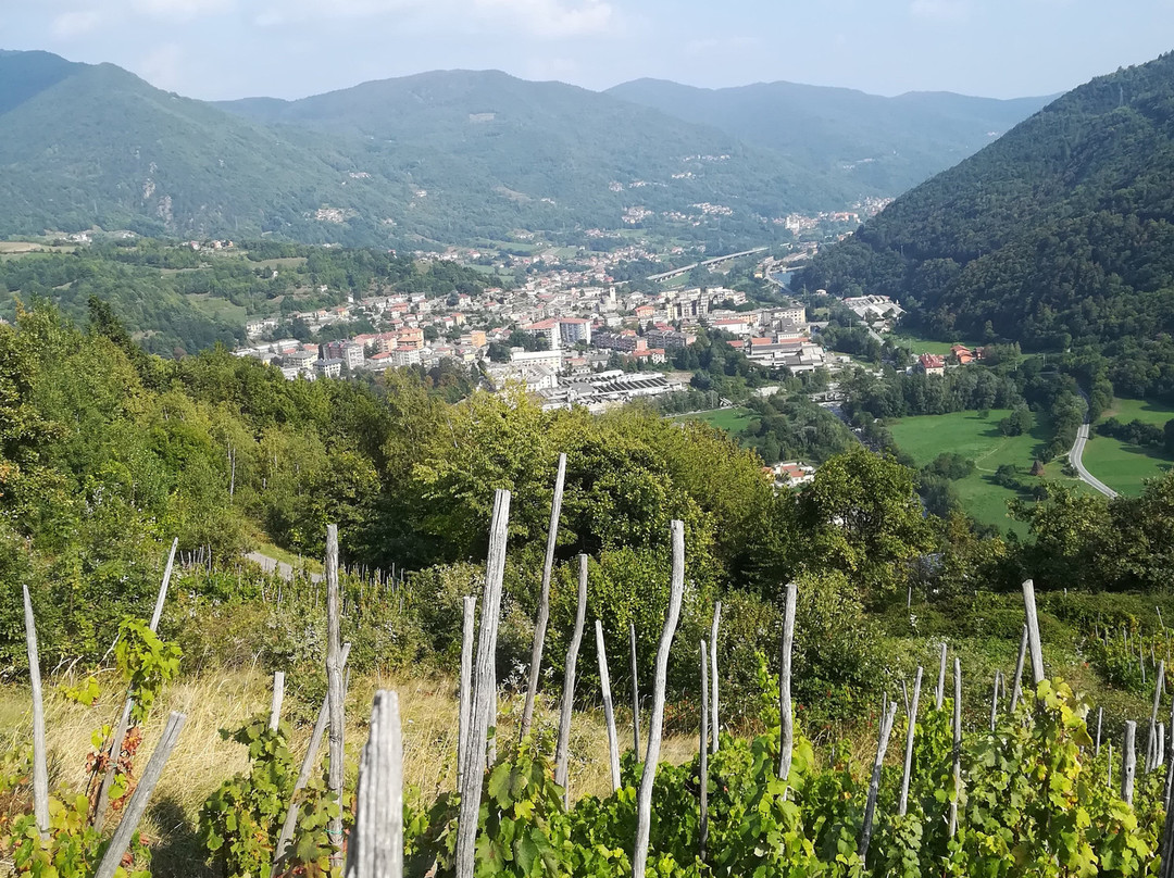 Sentiero del Vino Ramie