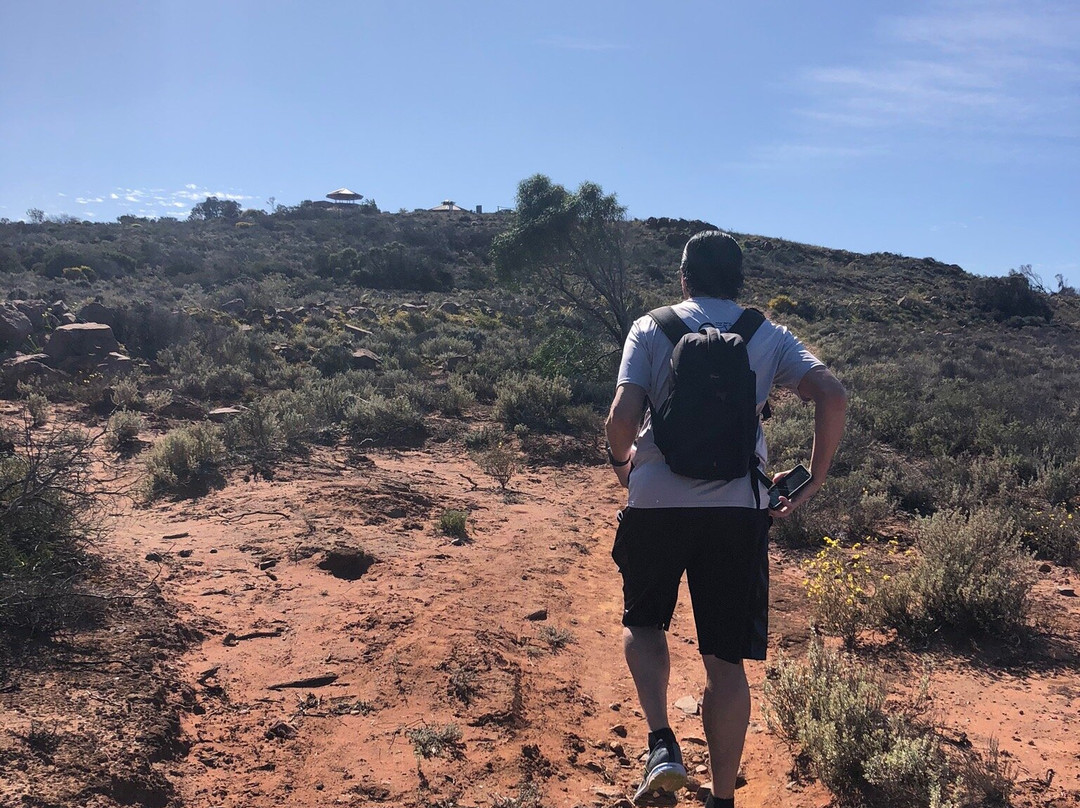 Hummock Hill Lookout-Whyalla必去景点