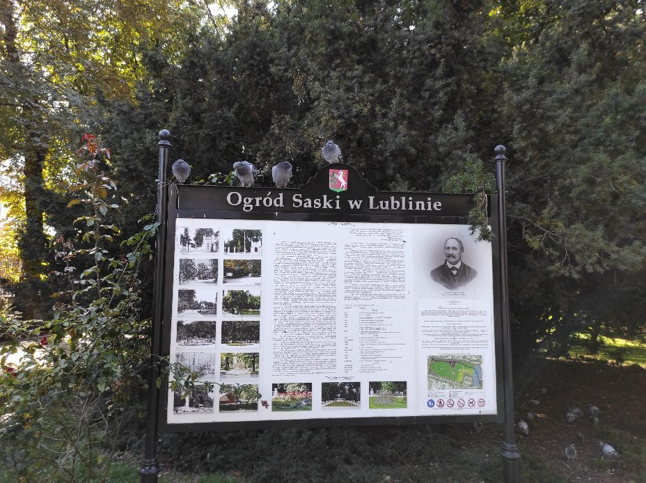 Saxon Garden in Lublin景点图片