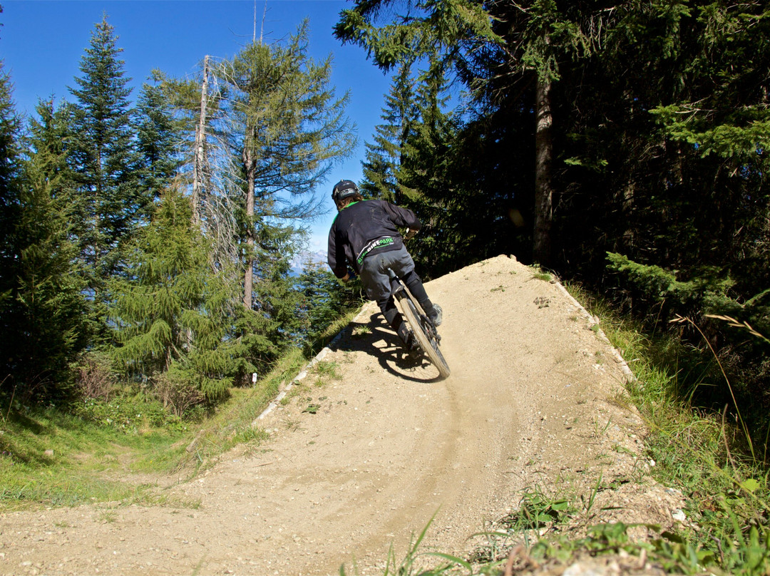Alpenbikepark Chur景点图片