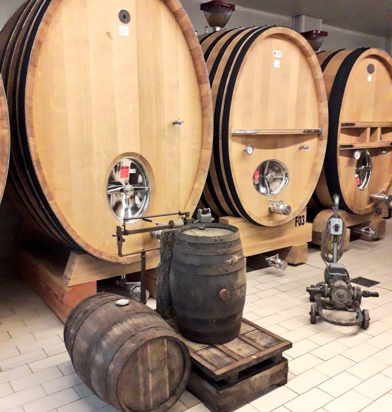 Viñedos & Bodega Encima Wines-Molinaseca必去景点