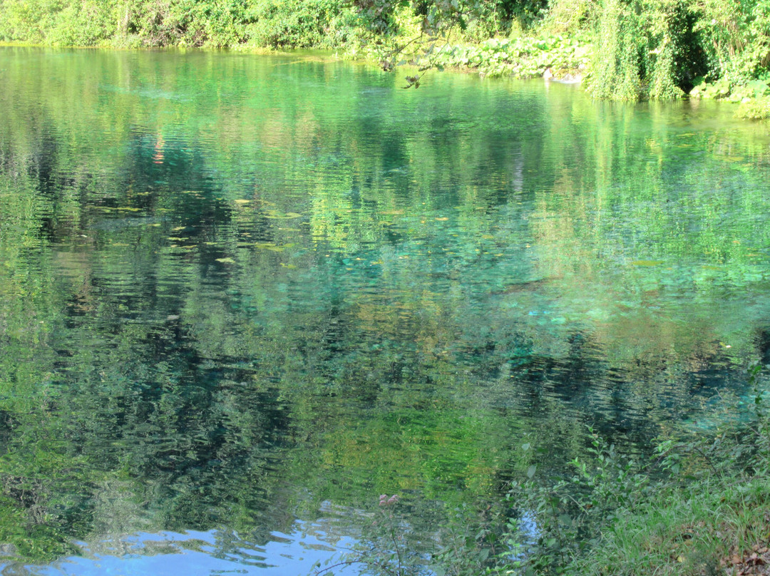 Sorgente del fiume Mercure景点图片