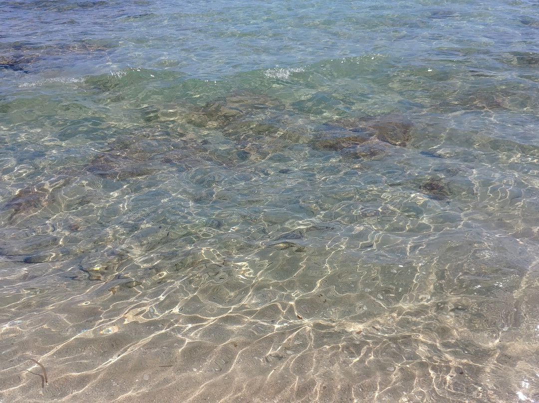 Campoverde Apartments主图