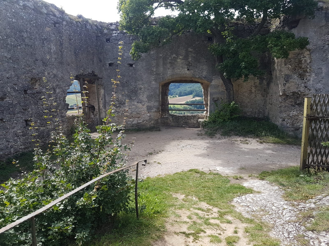 Falkenstein Castle景点图片