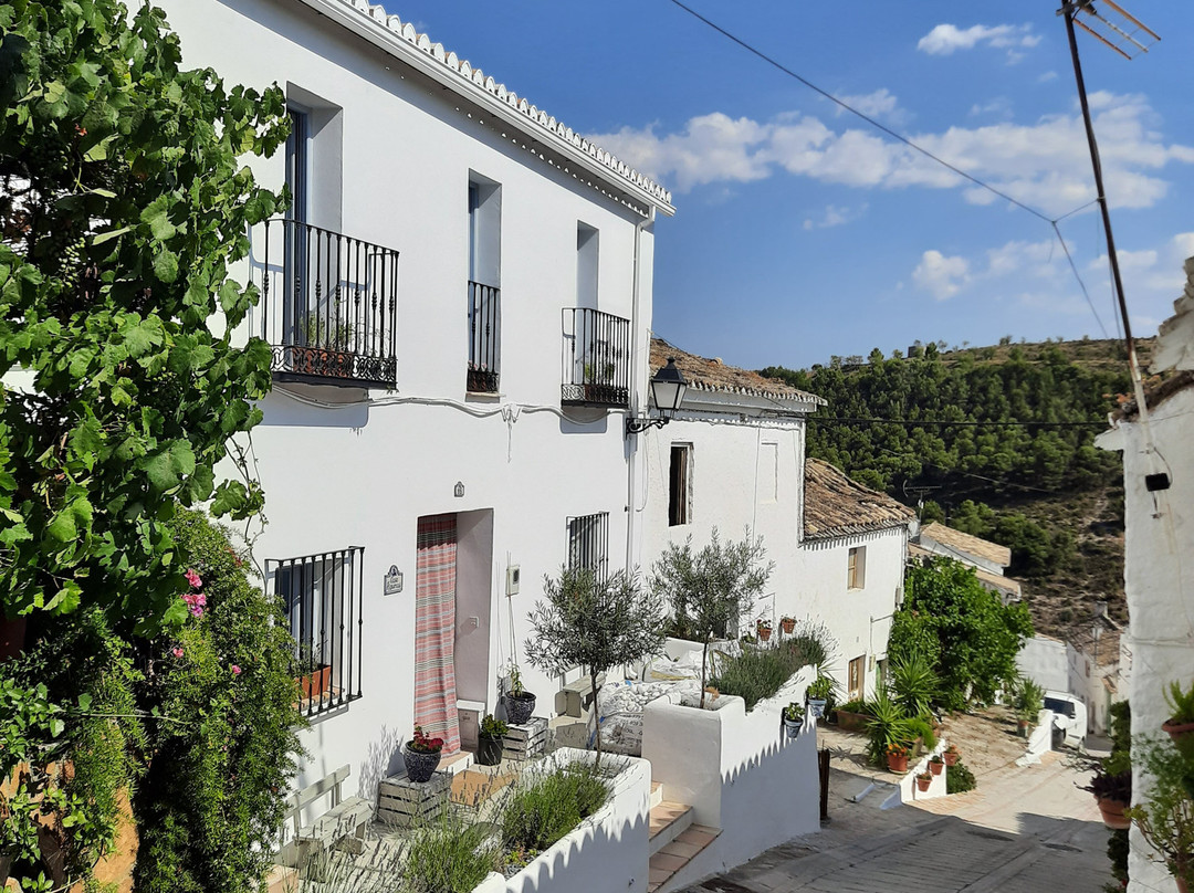 Casa Higueras Bed & Breakfast主图