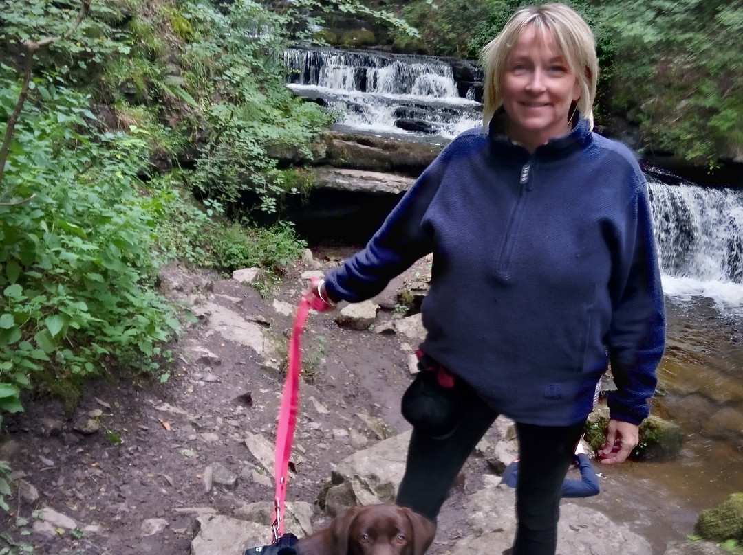 The Black Horse Hotel主图