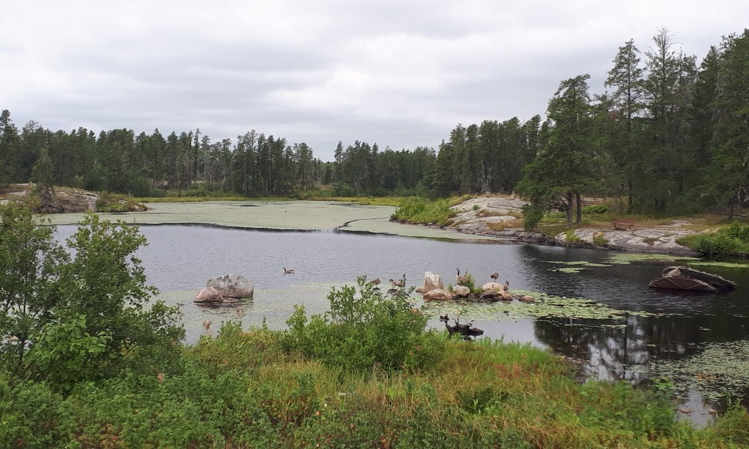 Alfred Hole Goose Sanctuary and Visitor Centre-Rennie必去景点