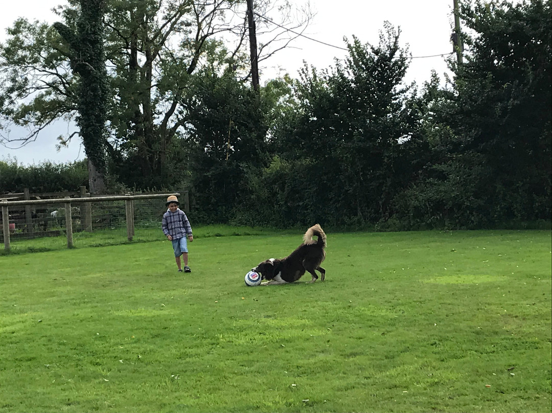 Iddesleigh旅游攻略图片