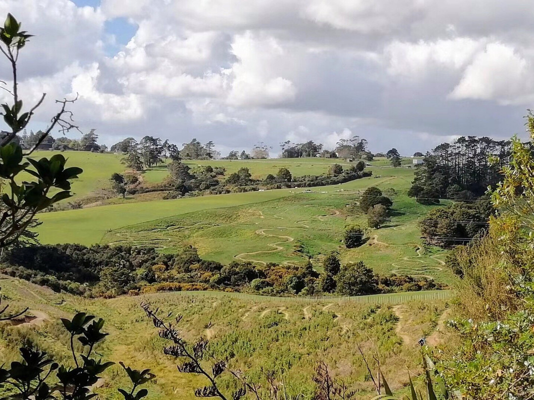Totara Park-奥克兰中心地区必去景点