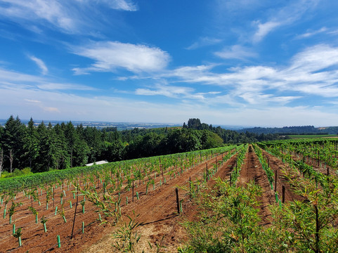 Oregon Tour Co.-波特兰必去景点