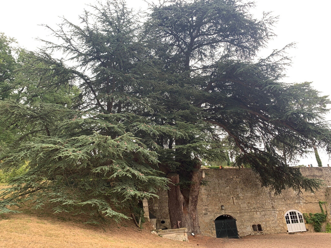 Château de Valmer - Vins et Jardins-Chancay必去景点