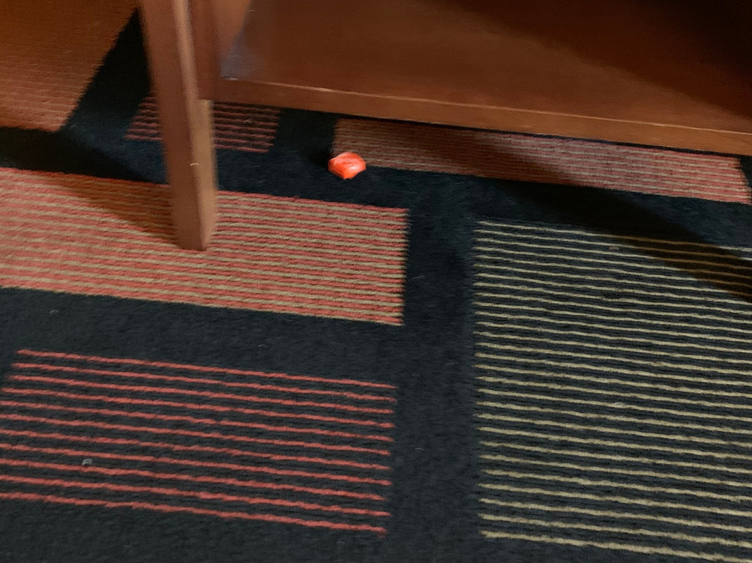 Quality Inn & Suites主图