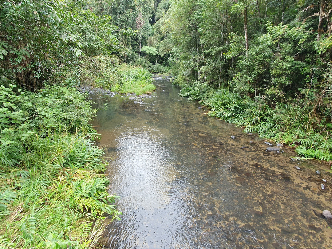Henrietta Camp Ground-Herberton必去景点