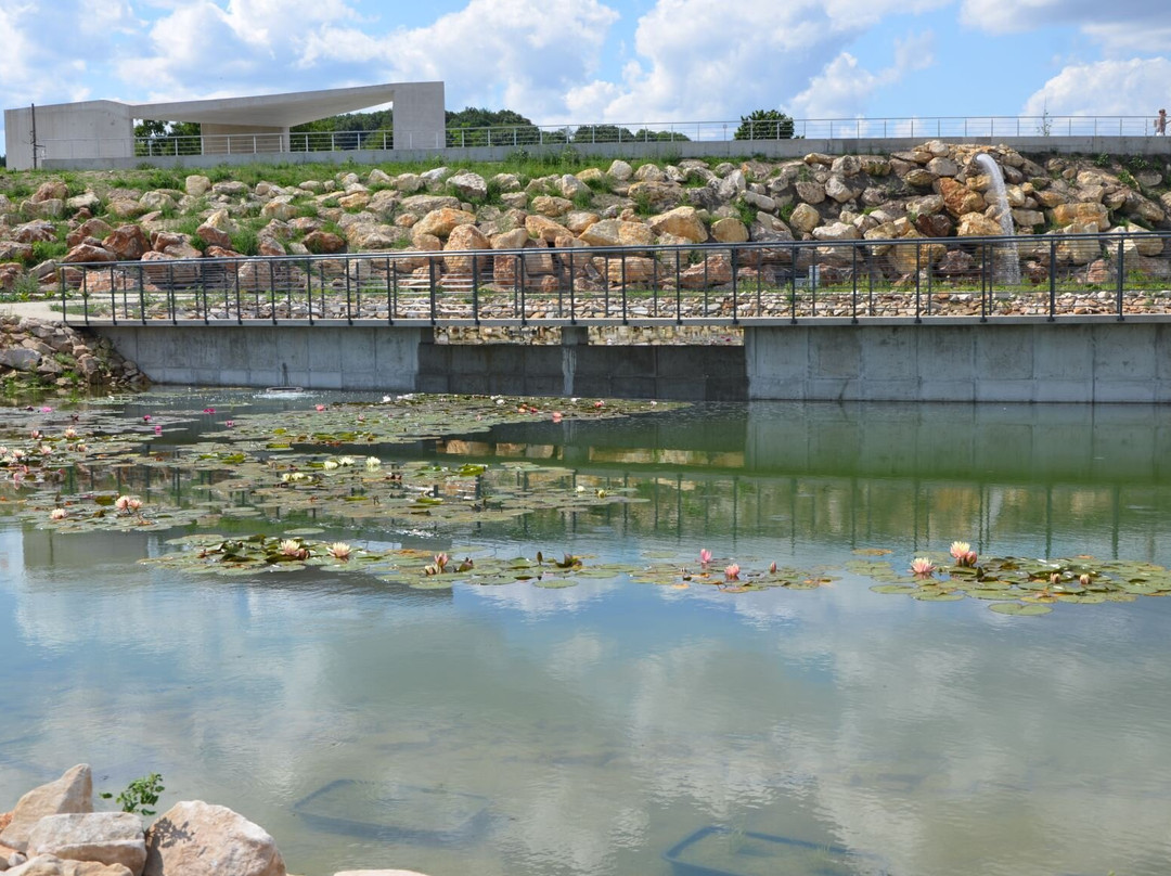Geonatura Kielce - Botanical Garden景点图片