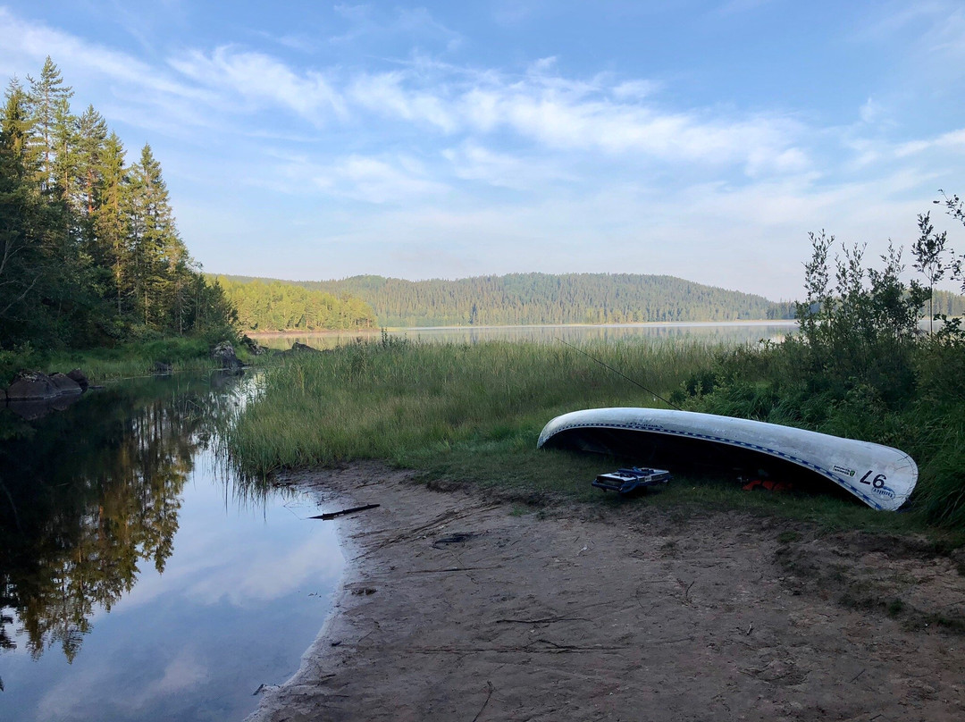 Vildmark i Värmland-Torsby必去景点