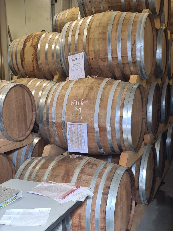 Les Vignerons d'Oleron-Saint-Pierre-d'Oleron必去景点