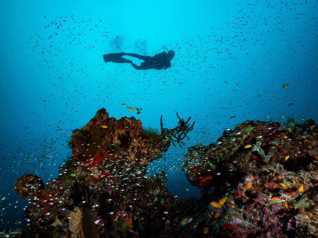 Southern Maldives Divers景点图片