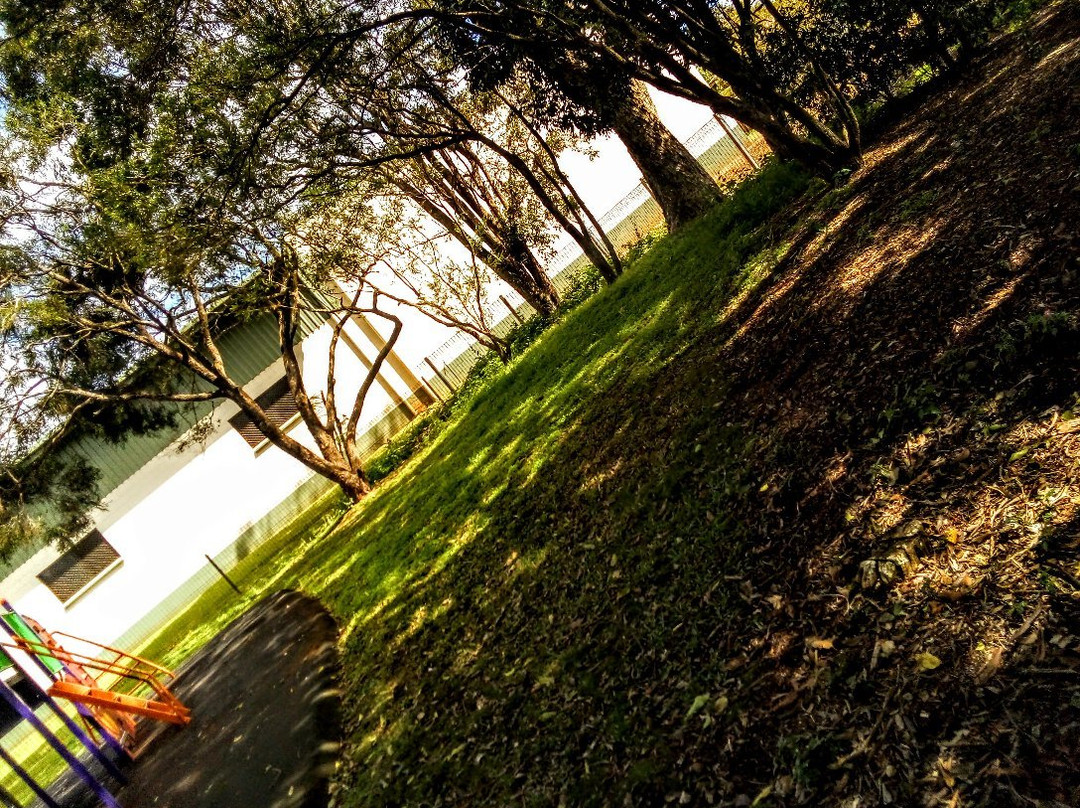 CWA Park-Tolga必去景点