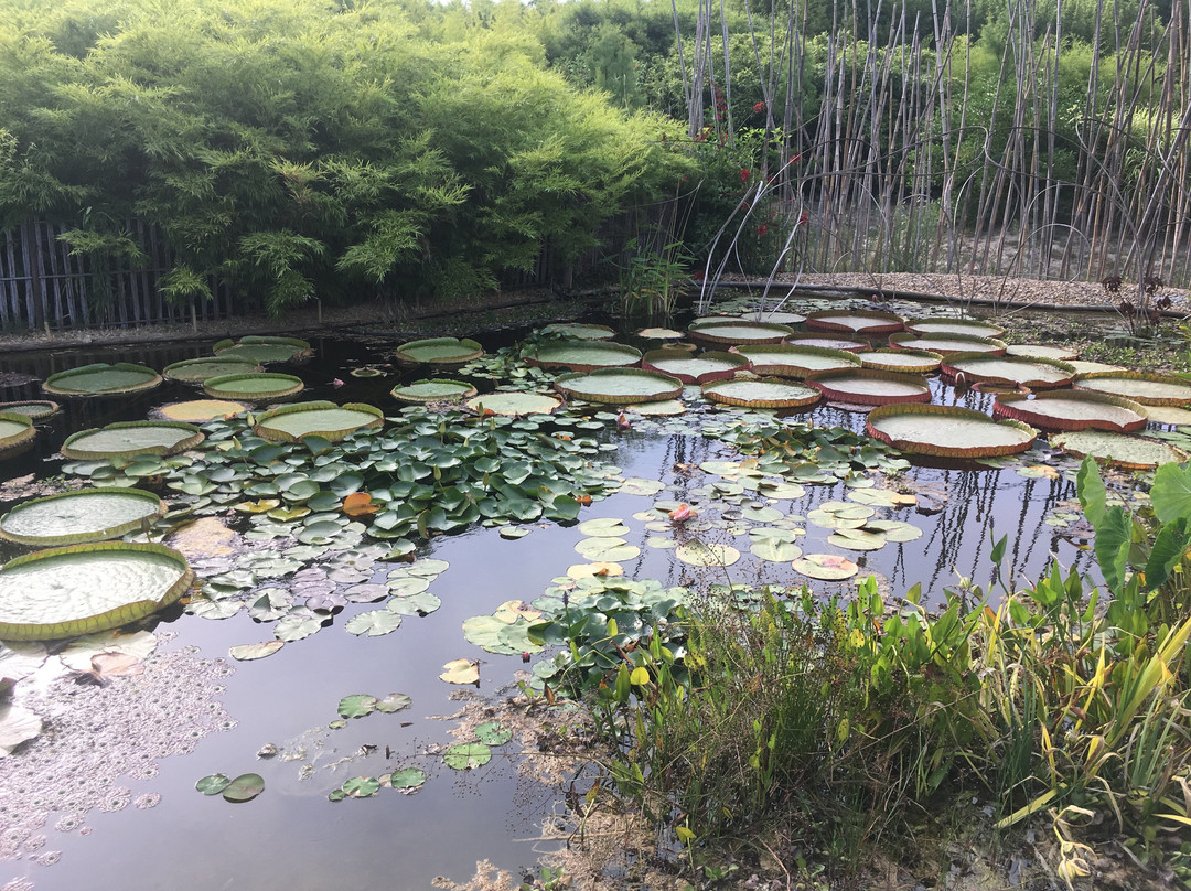 Bambous En Provence景点图片