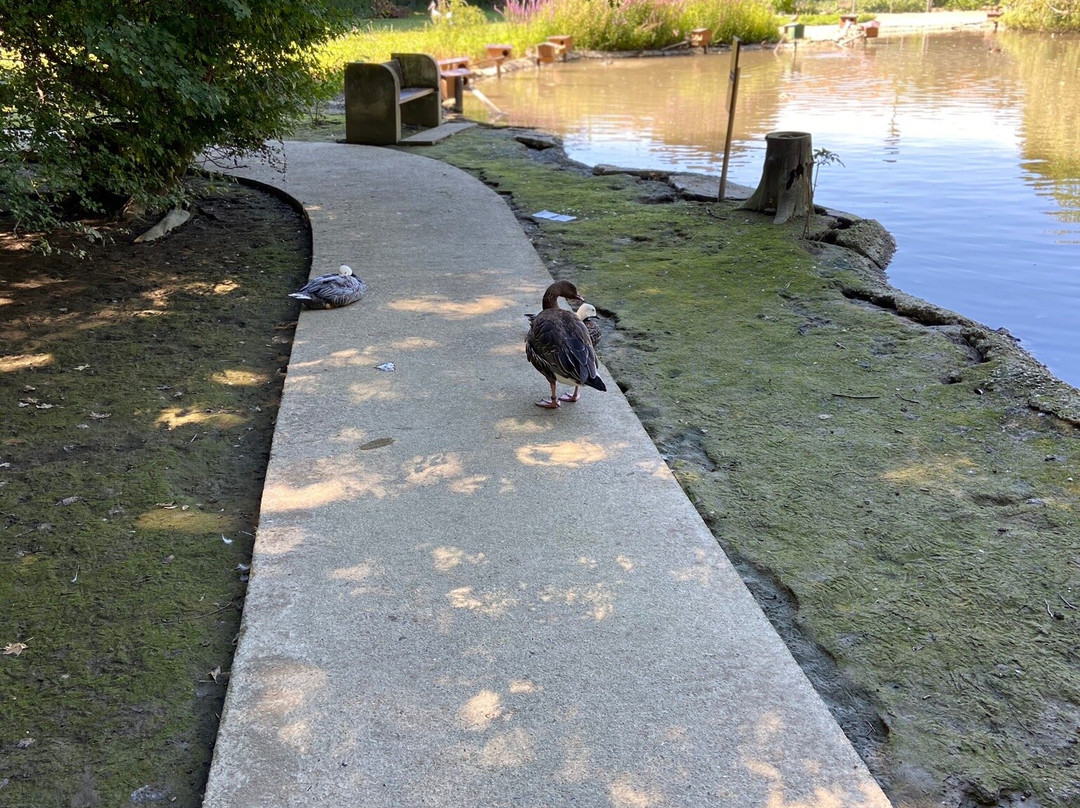 Associazione Centro Cicogne E Anatidi-Racconigi必去景点
