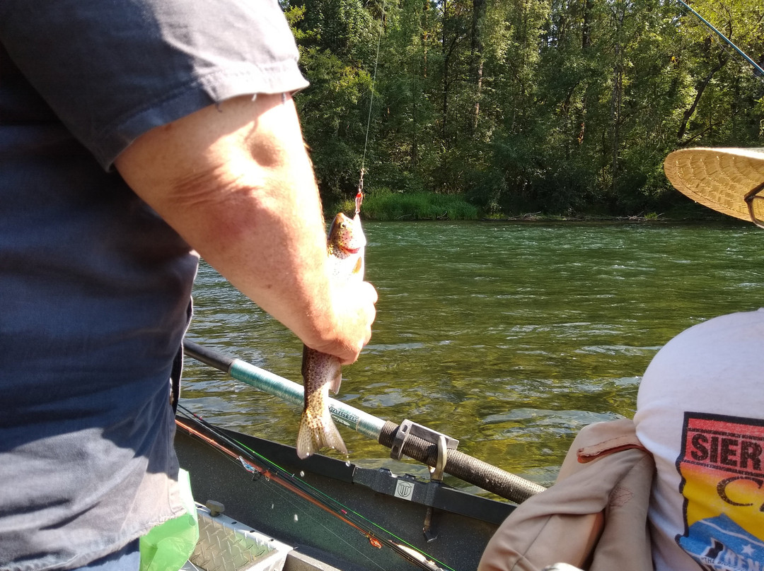 Helfrich River Adventures-斯普林菲尔德必去景点