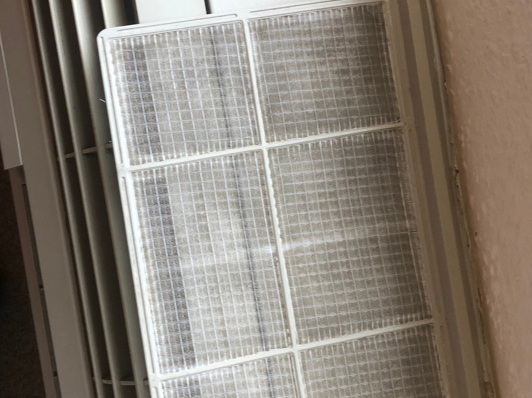 Wingate by Wyndham Tupelo主图