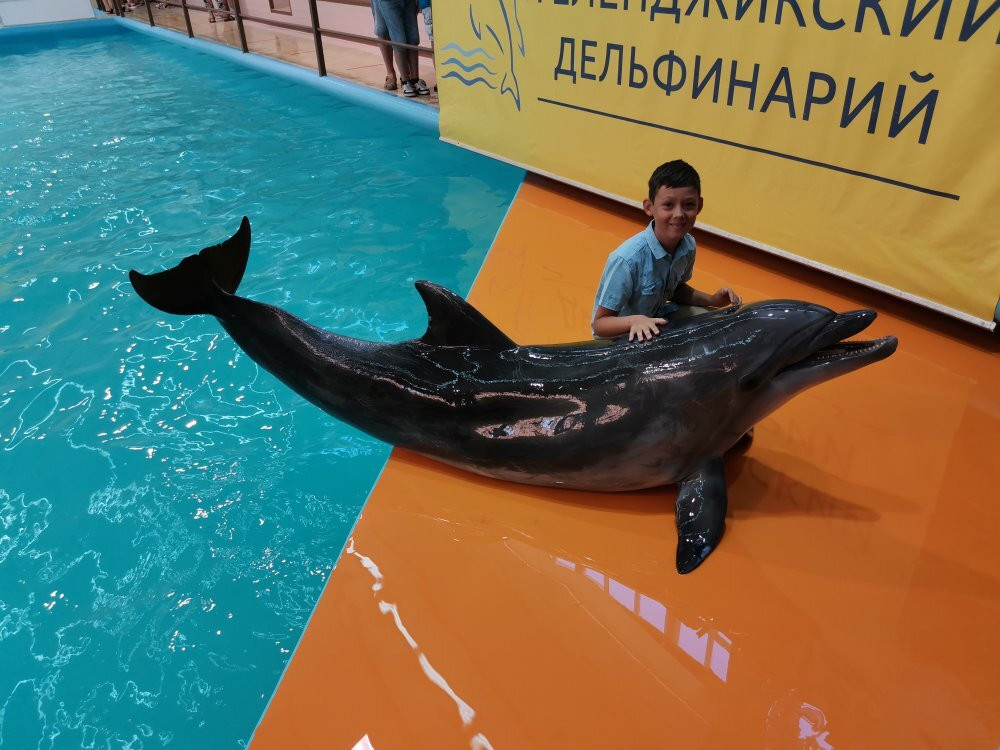 Gelendzhik Dolphinarium-Gelendzhik必去景点