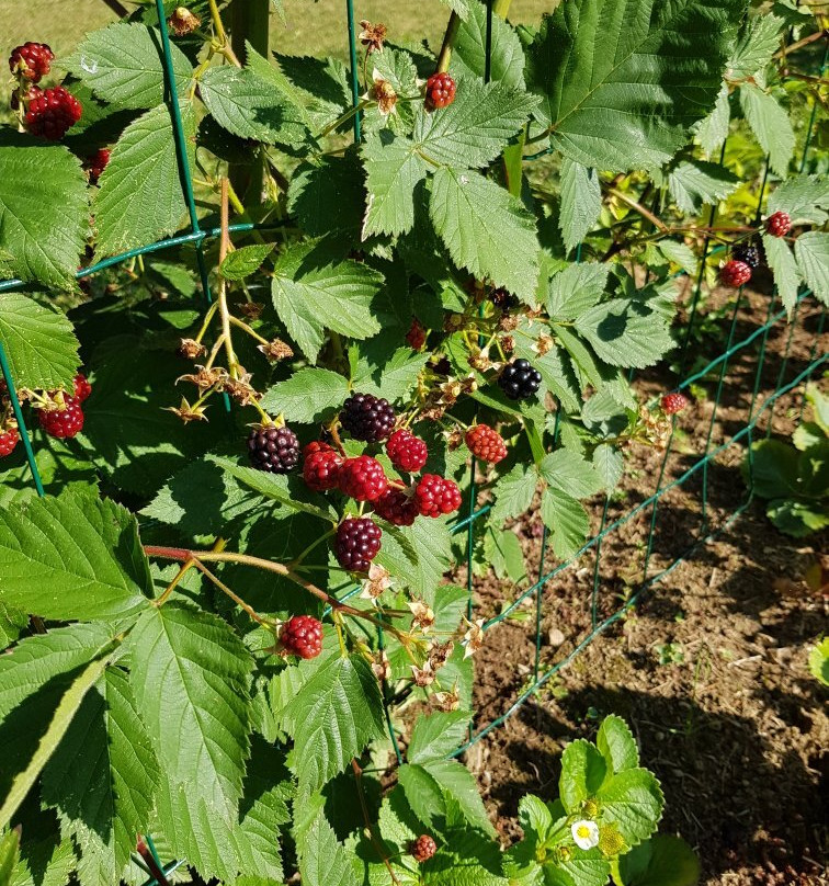 B&B Les Tranchees主图