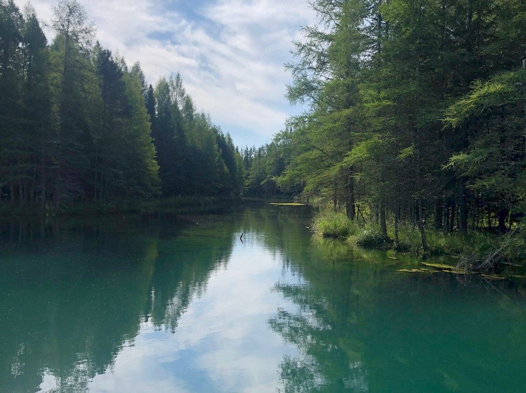 Palms Book State Park-Manistique必去景点