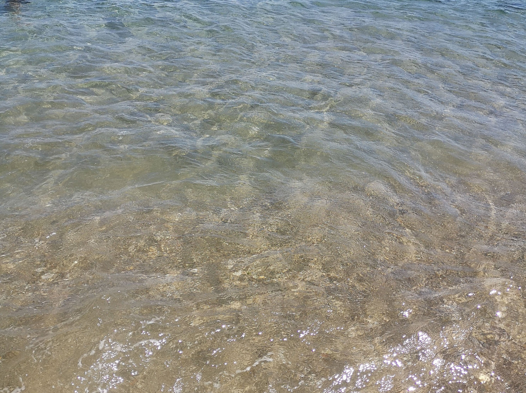 Plage de Bonporteau-Cavalaire-Sur-Mer必去景点