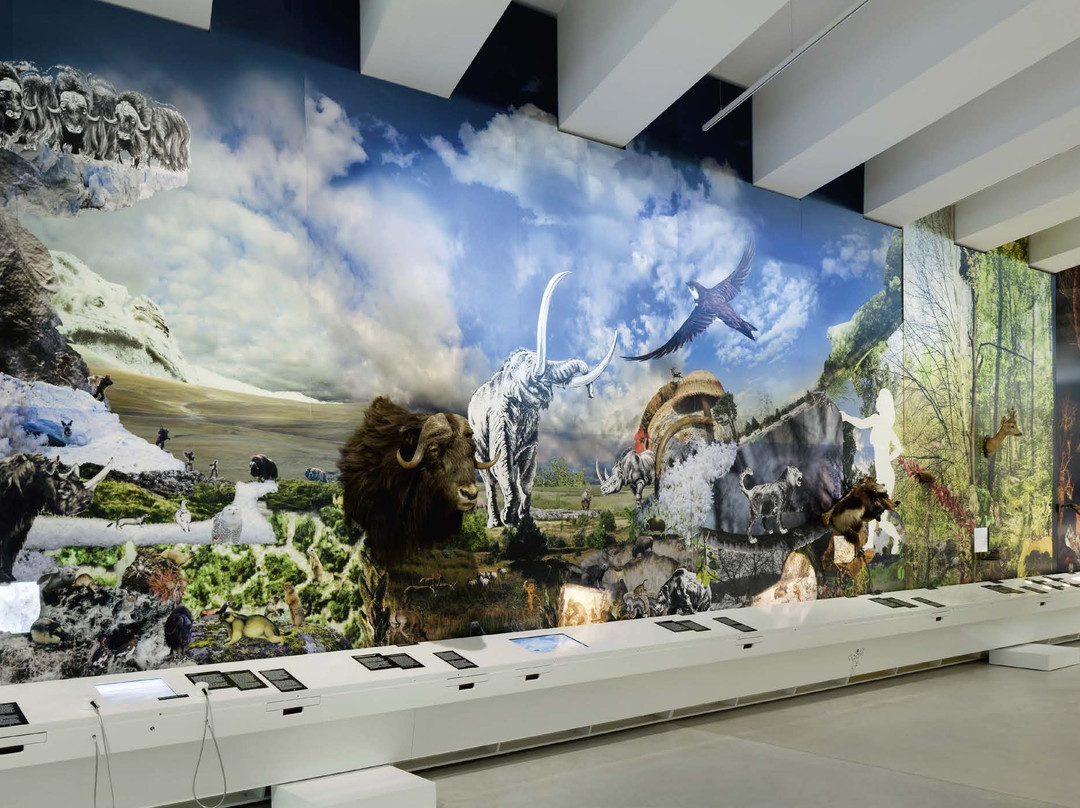 Forschungsmuseum Schöningen景点图片