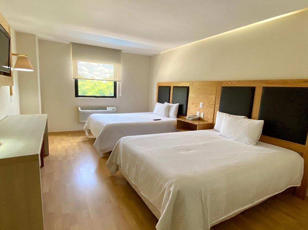 Paris FC Express主图