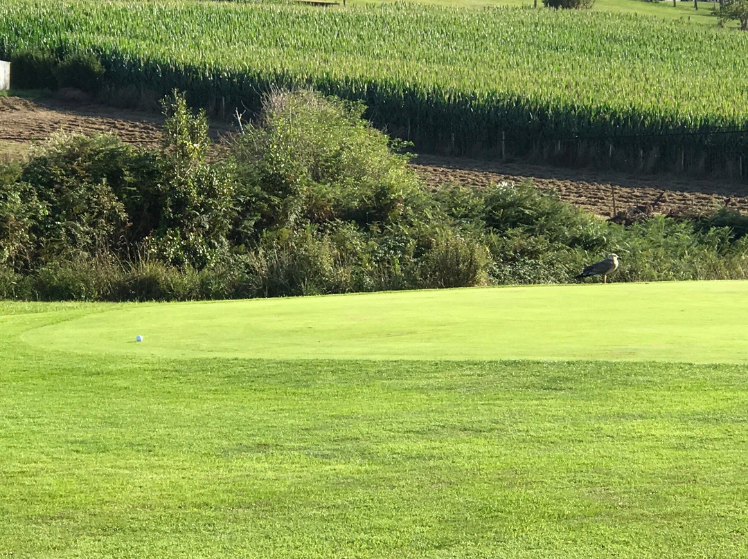 Real Golf Club Oyambre景点图片