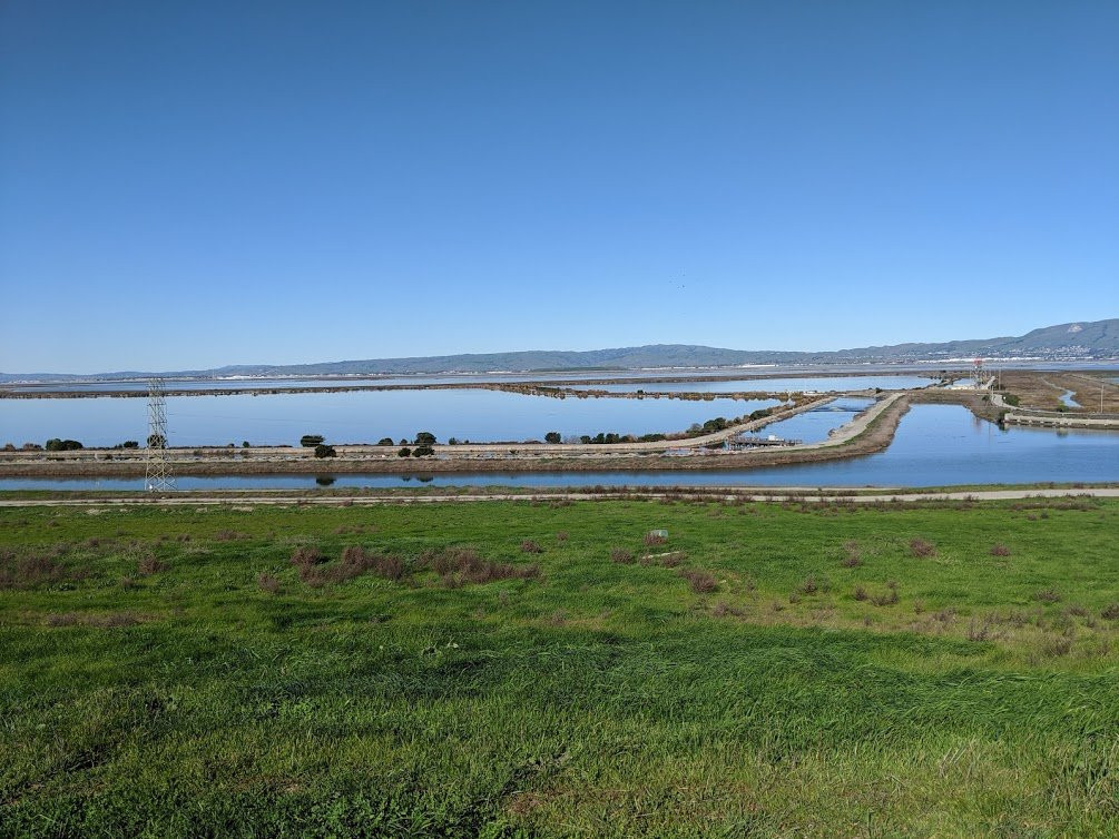 Sunnyvale Bay Trail-森尼韦尔必去景点