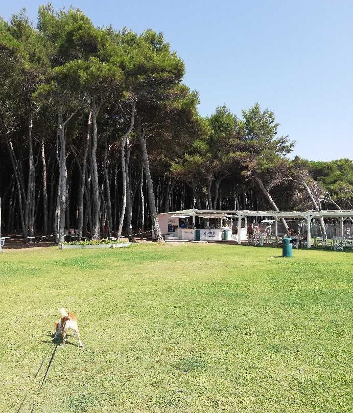 Bau Bau Beach Village景点图片