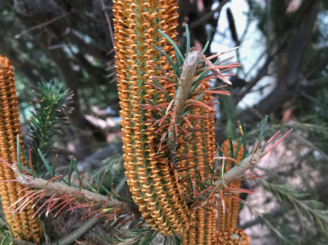 笑翠鸟汽车旅馆主图